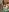 taddy_shyCheerleader照片 4
