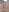 SIBBLlnGraypacpussy close up🌄照片 8