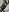 miatemptress69 Mix. Vol. 2 Fanclub (Hasi) Pic 4