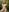 PerlaDivaio totally naked Photo 5