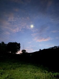 Charlothe_Wright my vacation🦋🍀. 사진 4