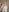 MartycaBee Are you curious ? 👀 Pic