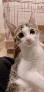 haruka_oo Public Immagine  2