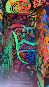 Public de Exotic13  Imagens