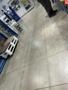 Pslungo Snello Poză