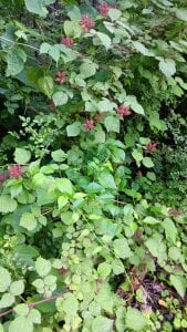 Lonefun4u Public  2. fénykép