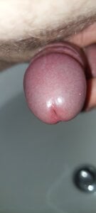 bratek_44 kullanıcısının Public albümü -  4 fotoğraf