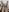 Arisha_Milss My naked body Pic 7