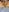 xlalitaxxxのOsito 🧸 (Explícito) (NSFW)の 6枚の写真