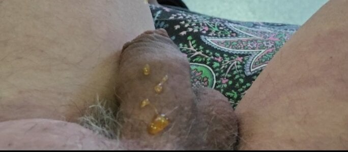 jhonschen's Lo idrato col miele Sex Photo 2