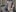 AverageRose Bodystocking Tease 사진 4