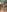 Daneshka1 Ready to Crave Me More? 😈🥵 Pic 4