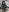 AranzaLatinBlacks Black Girl 2025 Pic