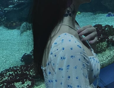 BalkySwell No Rules, Just Vibes صورة واحدة|BalkySwell No Rules, Just Vibes صورتان|BalkySwell No Rules, Just Vibes  3 صور|BalkySwell No Rules, Just Vibes  3 صورة