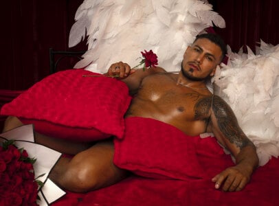 WillSandler Valentine's Day ❤️ 2026 Billede 2