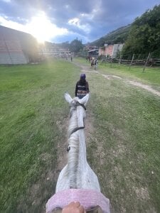 liahouses A caballo Pic 2