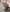 BeckyDwinellのYou want to see me in stockings? ;)の 4枚の写真