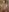 Antonellaparis_ Latina erotica touching herself in the shower 🔥👌 Photo 6