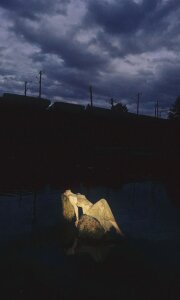 Nymph_Eva Green Pic 8