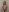 ElaineLinwood Lust in Her Touch Pic