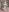 Emilly_HartのSanta Claus's Preyの 4枚の写真