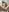-BalanCe- naked pussy Immagine  3