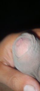 Audimor Public Pic 3