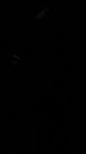 felak Public зображення 3