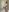 Full naked de HannaXLove  photos