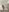 NAKED de Leasophie  4 fotos