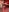 MissJuliax Topless Pic 4