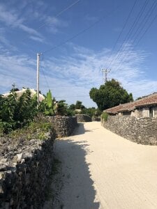 shibuya-bancho 思い出☘️ Pic 5