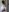 hot_momtobe Ass naked/doggy🍑 Foto  9