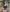 sophie_1 sexy🖤 Photo 2