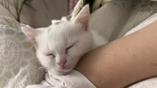 cClandesTina Public Pic 7