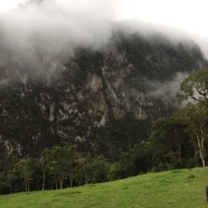 AshleyandCleo Nature Pic 9