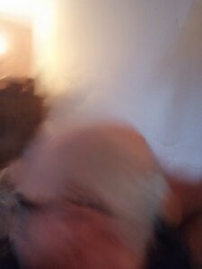 tomwaelz Public Pic 5