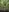 Ary-18 outdoor in the forest Pic 3