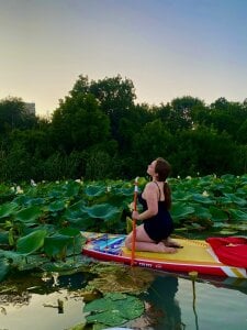 cutesma Public Bilde