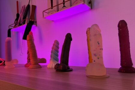 catha_cat TOYS 🔥 зображення