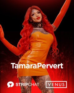 VENUS BERLIN 2025 de tamarapervert  photos