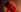Katt_was_here ❤️ KATT ❤️ Pic