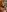 SofiaAdamsNaked photos on vacation照片 9