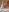 pinkie_piexx New white lingerie striptease🤍 Pic 8