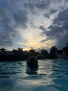 Pool Day💙💦 od Blair_BigTits  snímek