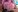 Maria-Ponto Maria Ponto pussy and ass open with her pink dildo Pic