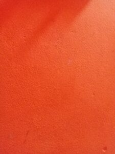 Shapla_1 Public Foto