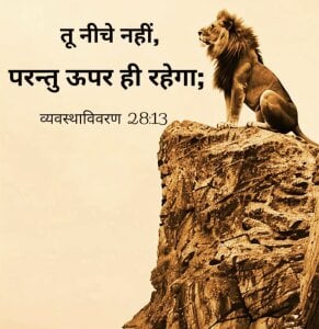 Riyansh_mehta Riyu Pic 4