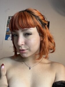 softsamy