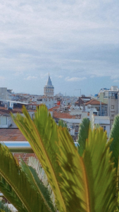 comokalii Public 사진 5